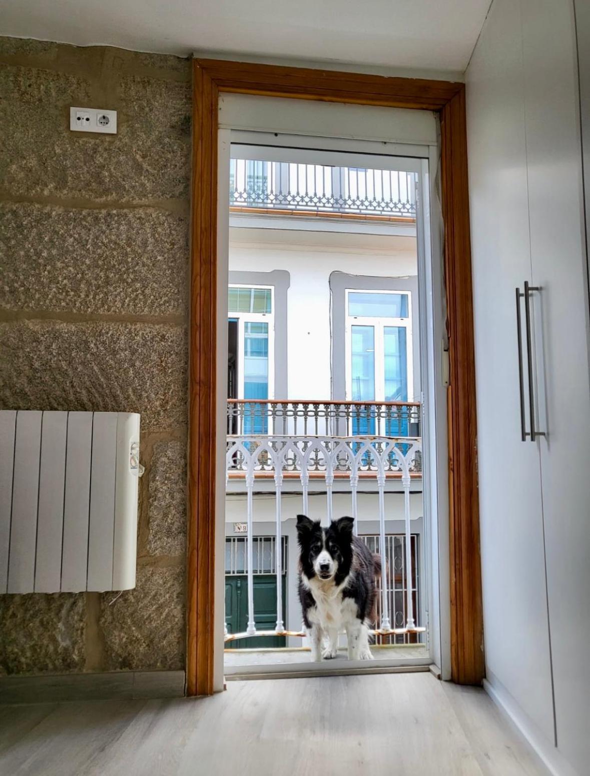 Apartamento Centrico Y Acogedor Vigo Exteriör bild