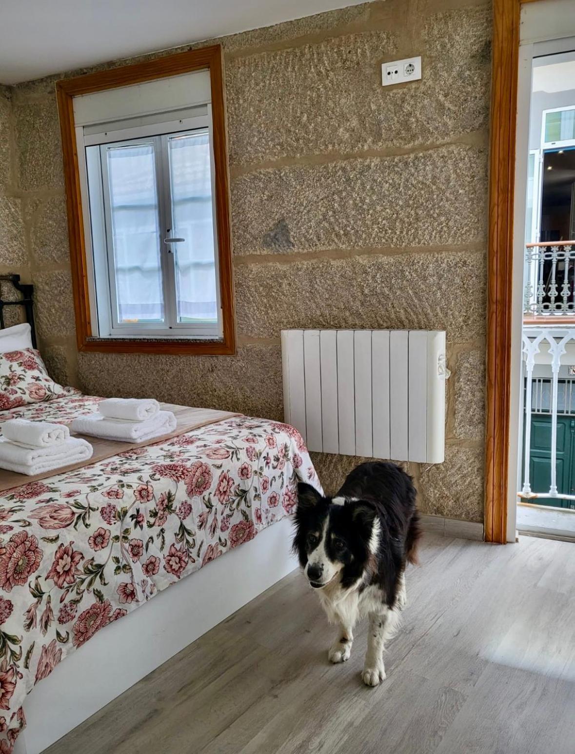 Apartamento Centrico Y Acogedor Vigo Exteriör bild