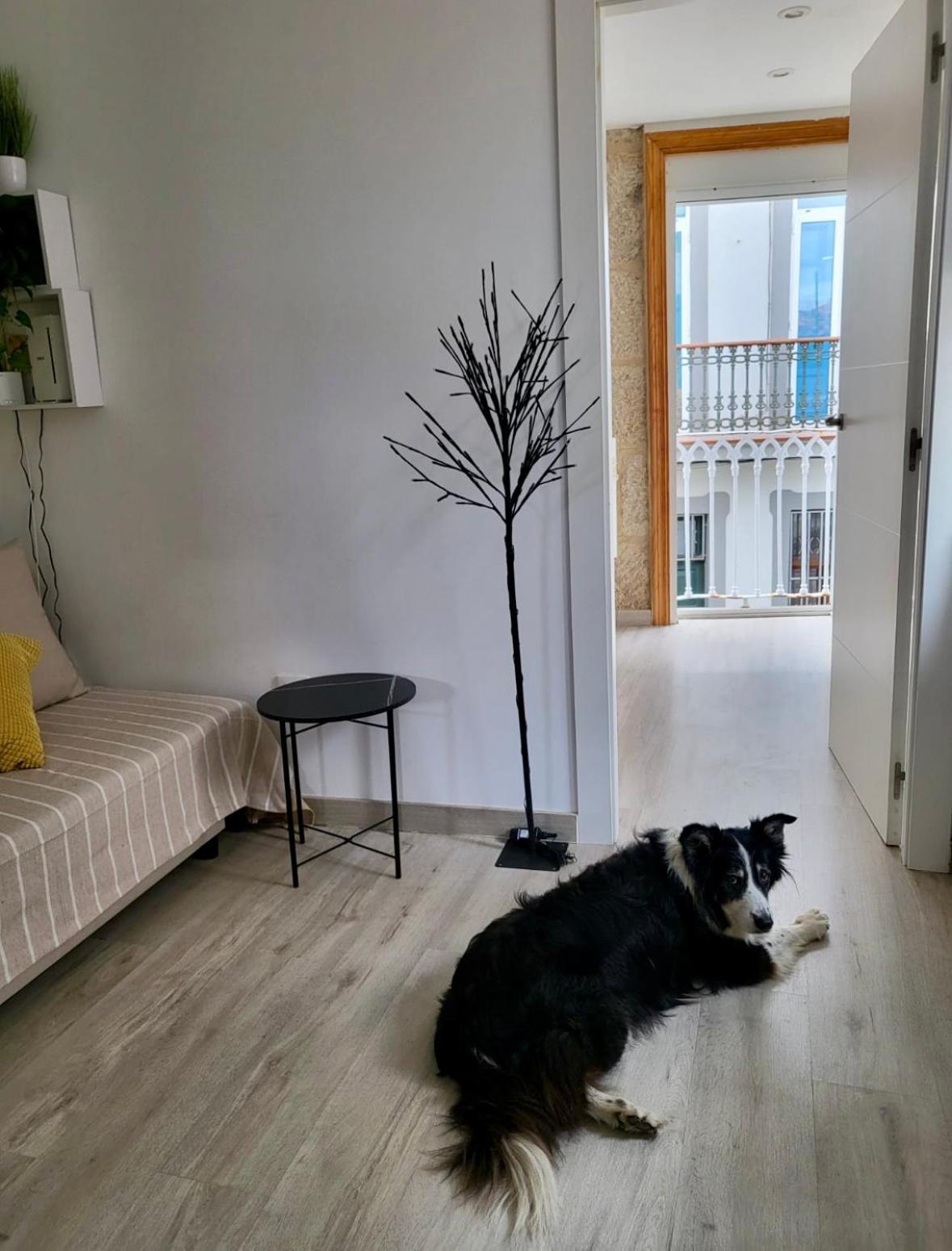 Apartamento Centrico Y Acogedor Vigo Exteriör bild